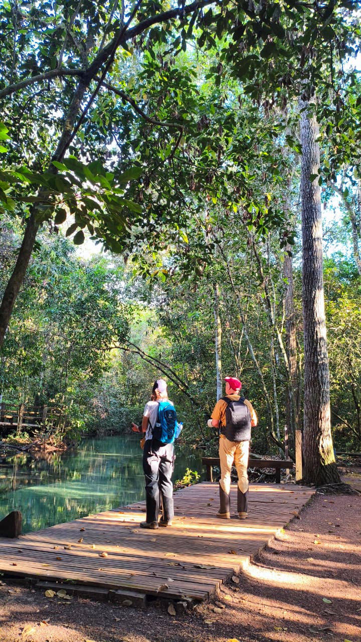 Visitantes caminham sobre passarela em área de natureza